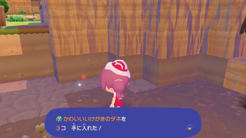 かわいいいけがきのタネ入手2