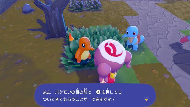 火が使えるポケモンに出会おう！8