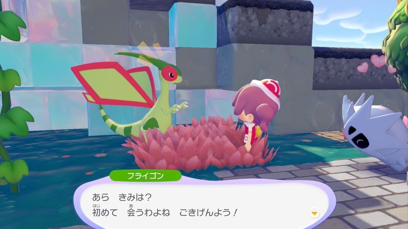フライゴン出会い1