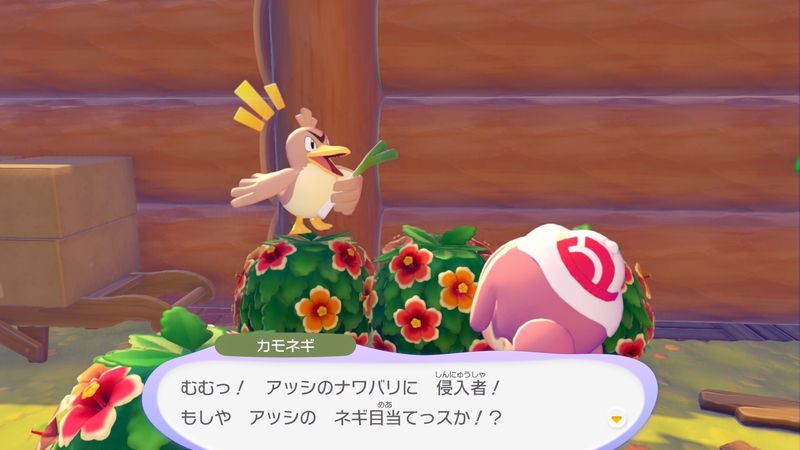 カモネギ出会い2