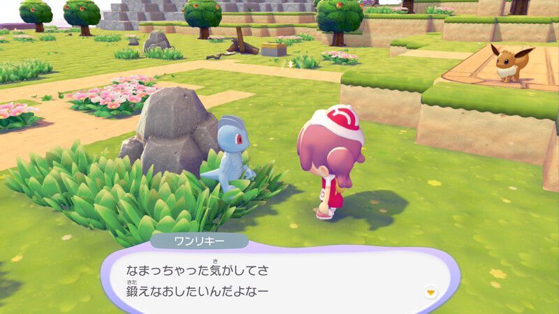 ワンリキー出会い4