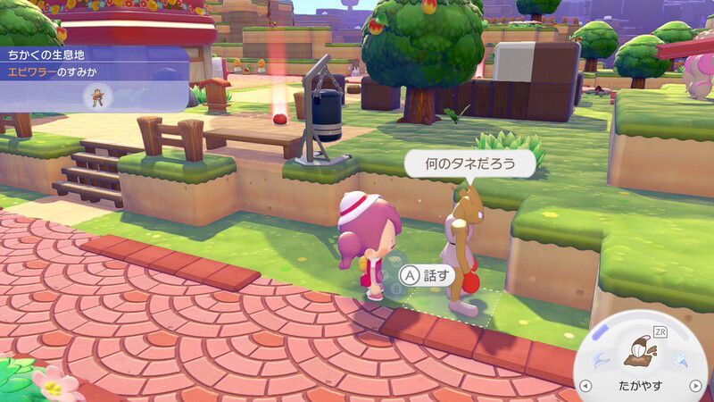 マメを育てよう！3