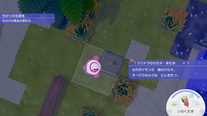 ツンドラのカセキ・あたま入手