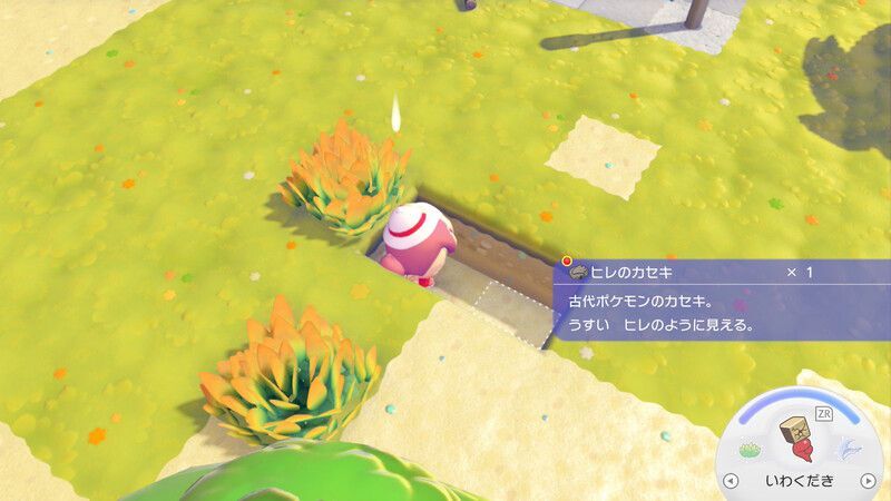 ヒレのカセキ入手2