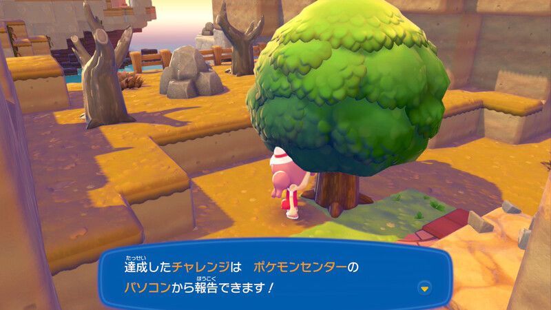 チャレンジを達成しよう！5