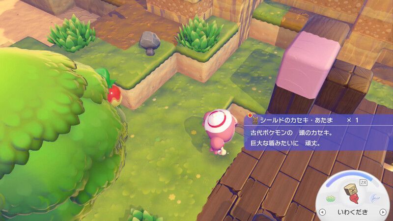 シールドのカセキ・あたま入手2