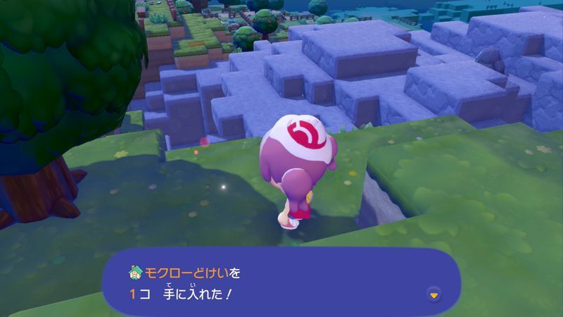 モクローどけい入手2