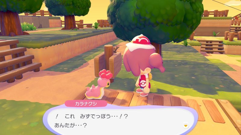 カラナクシ(にしのうみ)出会い5