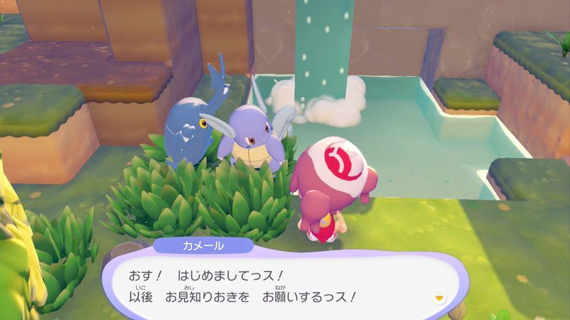 カメール出会い1