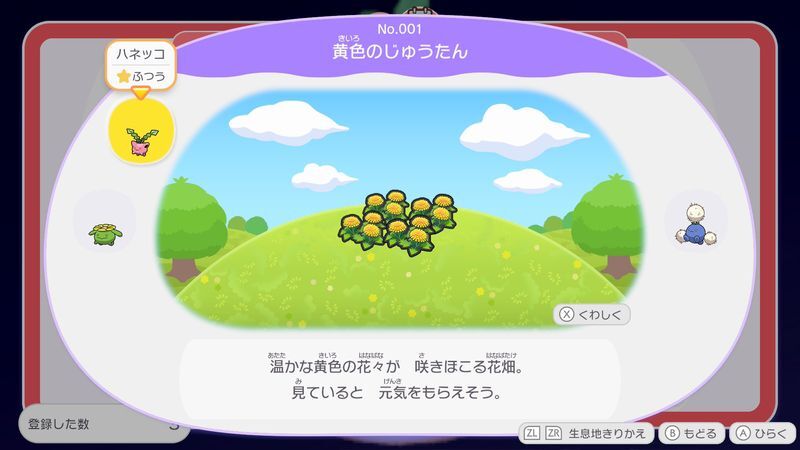 黄色のじゅうたん