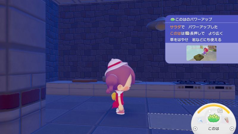 サラダを作ろう！25