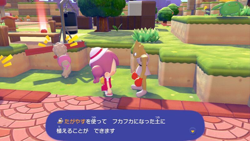 マメを育てよう！9