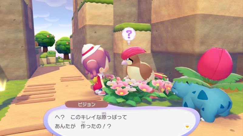 ピジョン出会い2