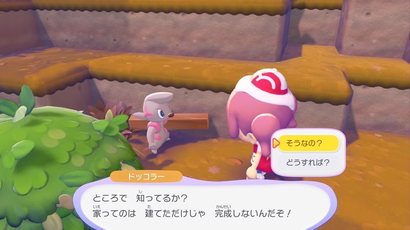 ポケモンに　話しかけよう！（ドッコラー）5