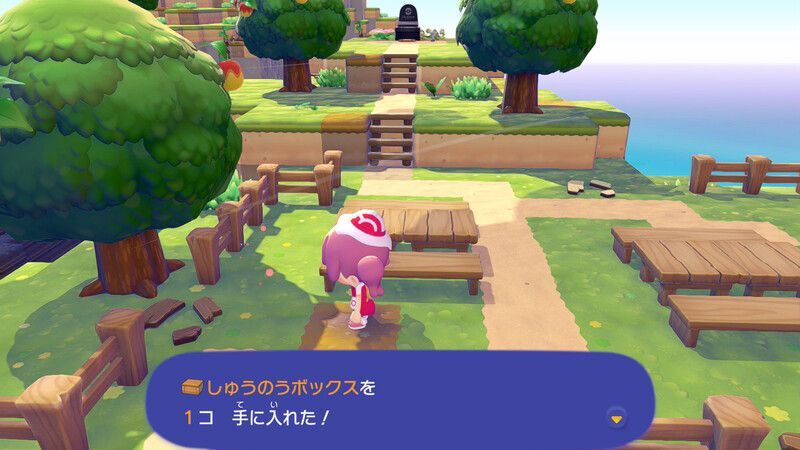 しゅうのうボックス入手2