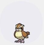 ポッポアイコン