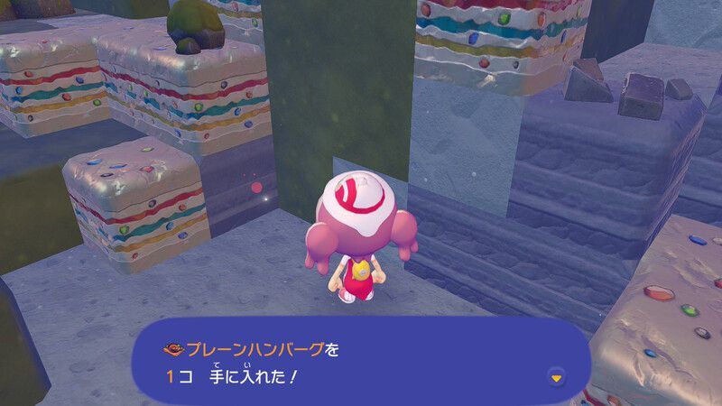 プレーンハンバーグ赤ボ2