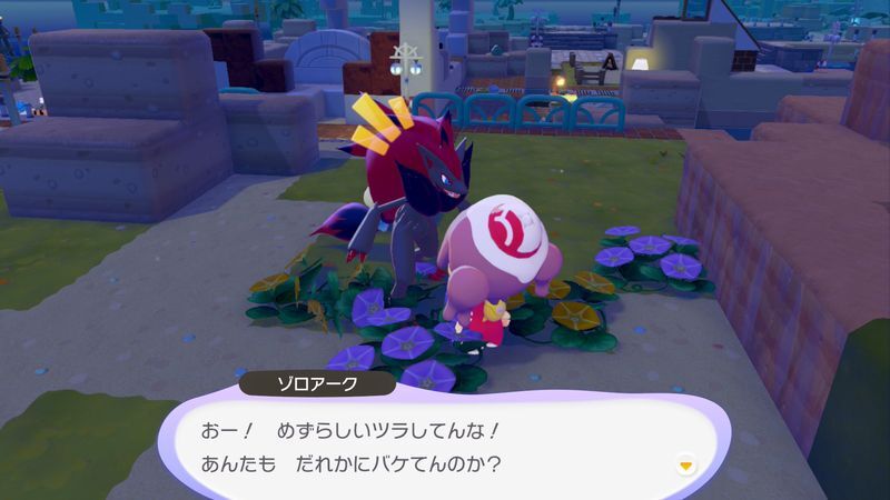 ゾロアーク出会い1