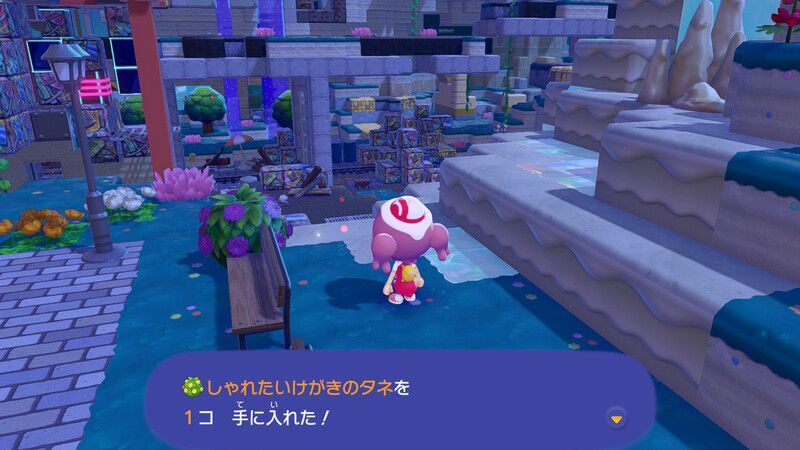 しゃれたいけがきのタネ赤ボ2