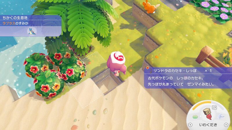 ツンドラのカセキ・しっぽ入手2
