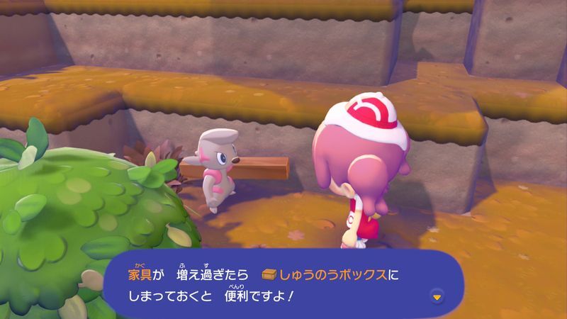 ポケモンに　話しかけよう！（ドッコラー）11