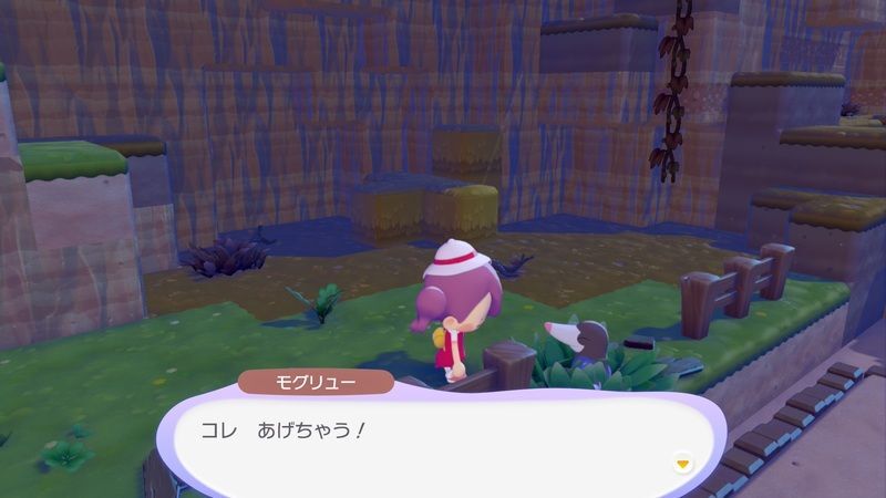 すみかを作っててあげよう！（モグリュー）9