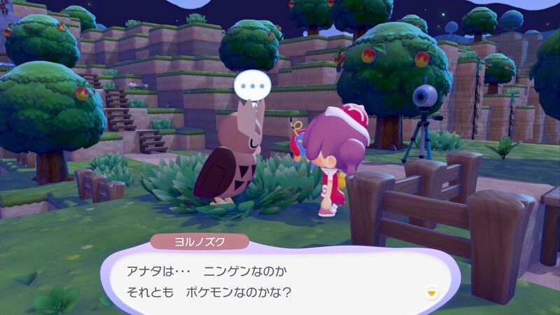 ヨルノズク出会い2