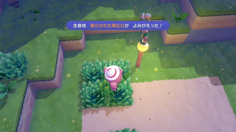 照らされた草むら作成