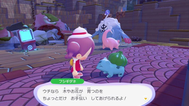 周りの木に水をあげよう！11