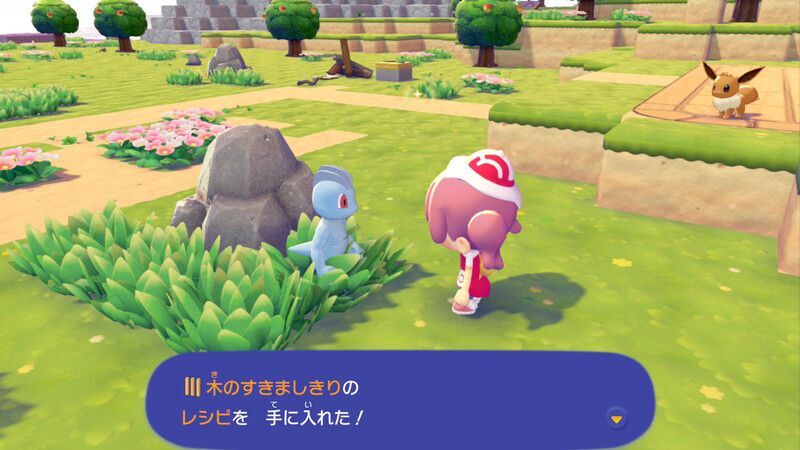 木のすきましきりのレシピ入手2
