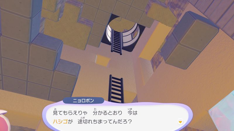 はしごの上を見にいこう!11
