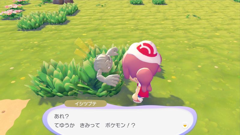 イシツブテ出会い3
