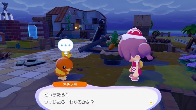 アチャモ出会い3