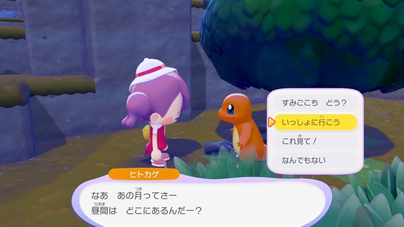 すみかを作っててあげよう！（フワンテ）10