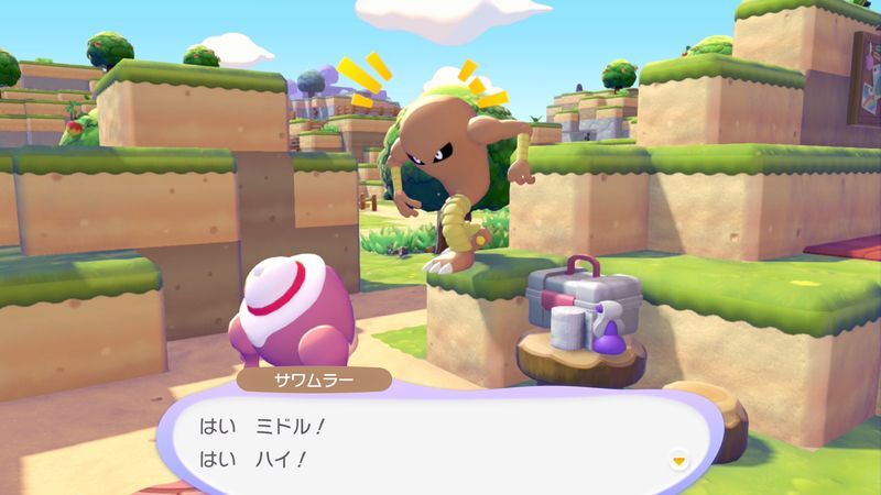 サワムラー出会い6