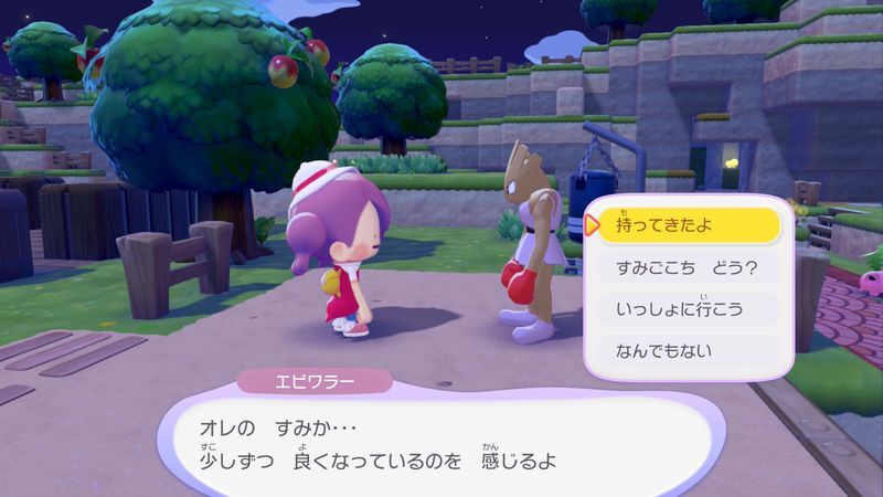 マメを育てよう！12