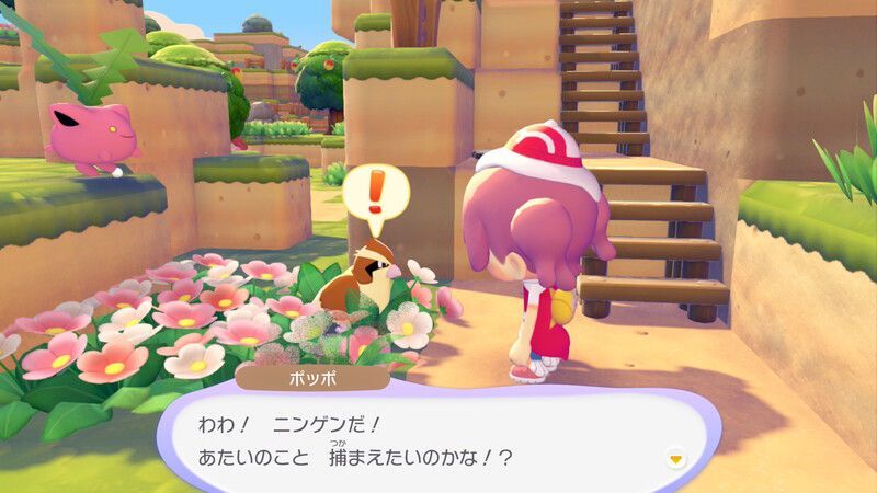 ポッポ出会い1