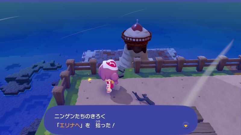 エリナへ入手2
