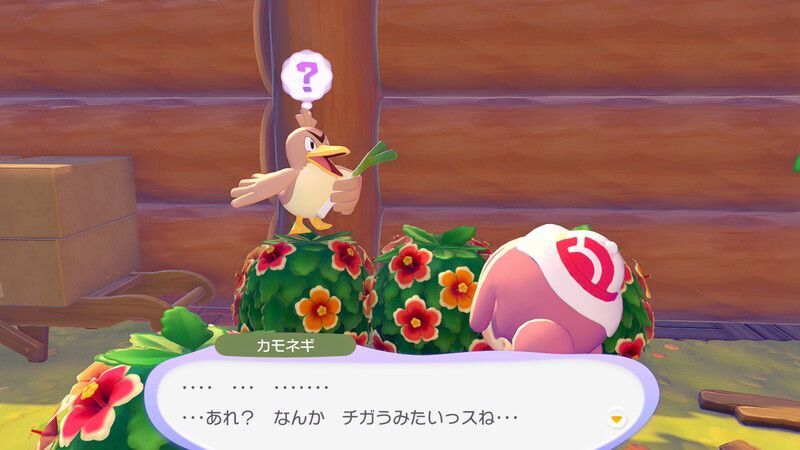 カモネギ出会い4