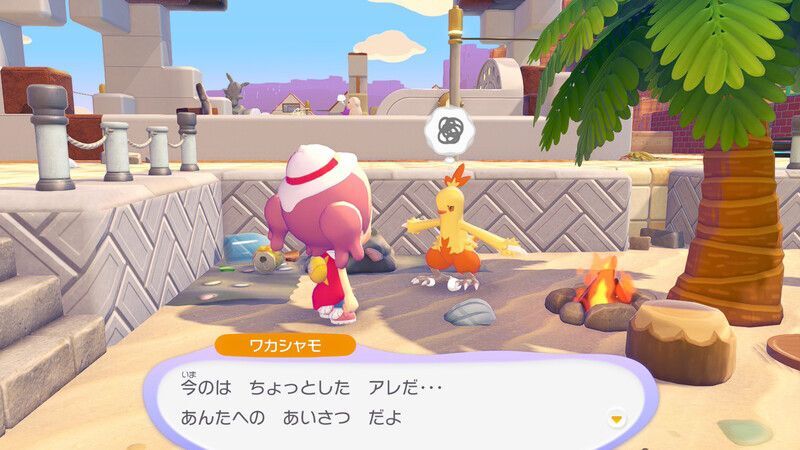 ワカシャモ出会い6