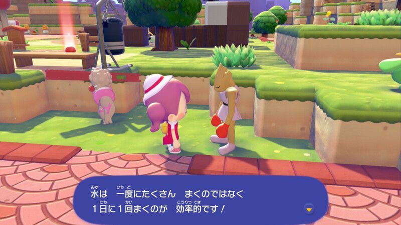 マメを育てよう！11