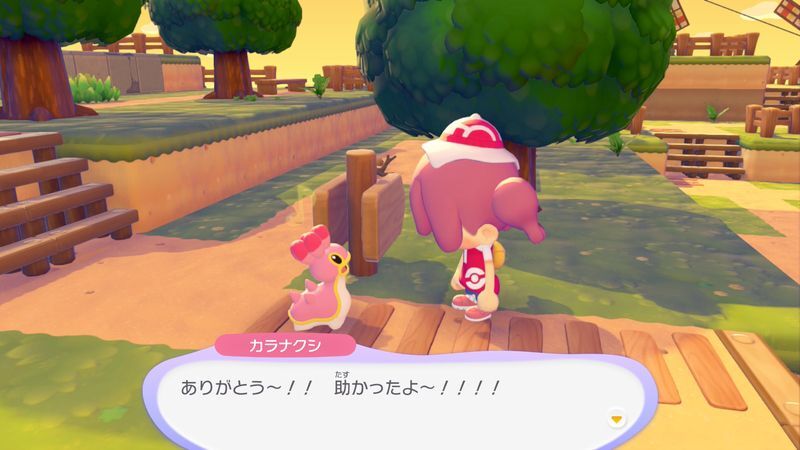 カラナクシ(にしのうみ)出会い6