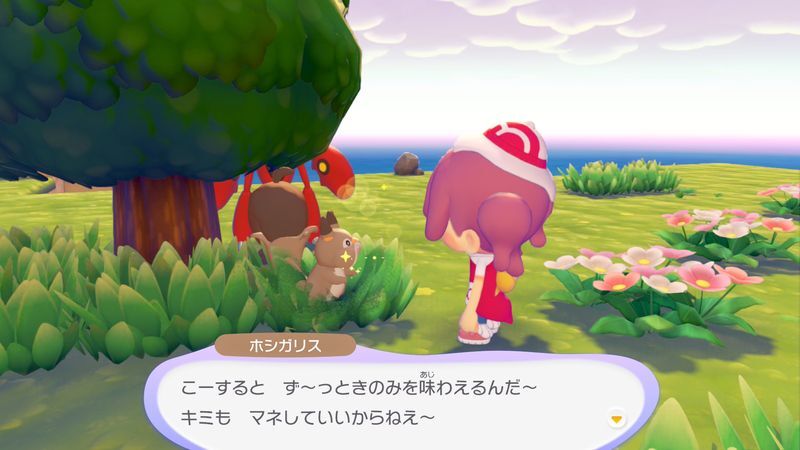 ホシガリス出会い3