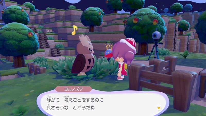 ヨルノズク出会い1