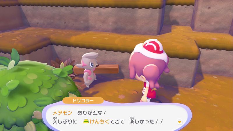 ポケモンに　話しかけよう！（ドッコラー）4