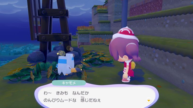 キャモメ出会い4