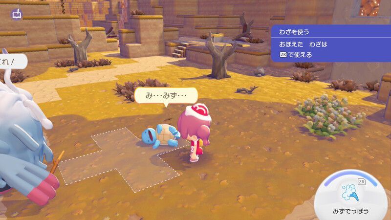 ゼニガメを助けよう4