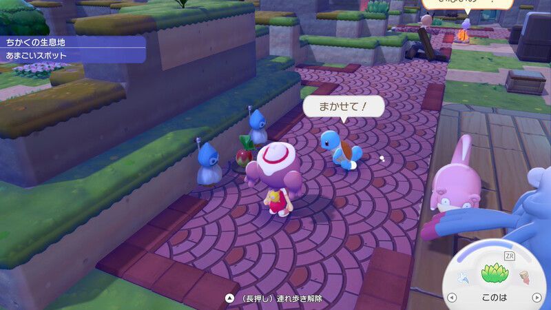 ゼニガメを連れていこう！5