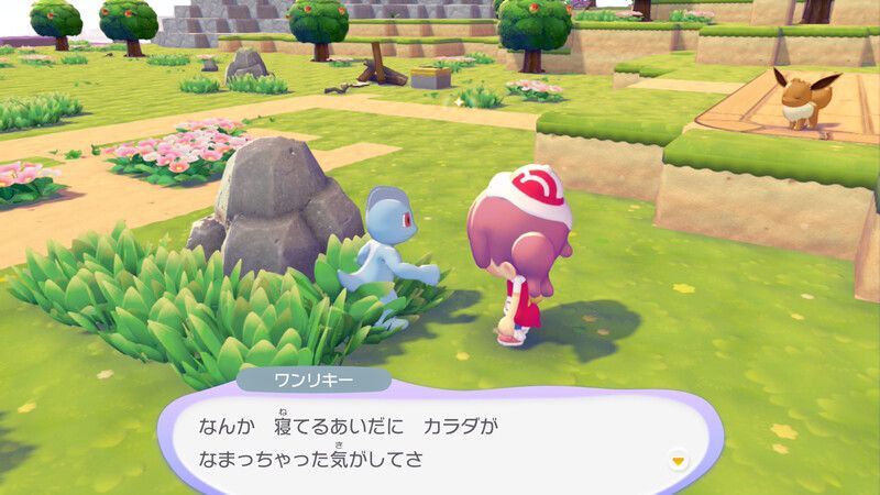 ワンリキー出会い3