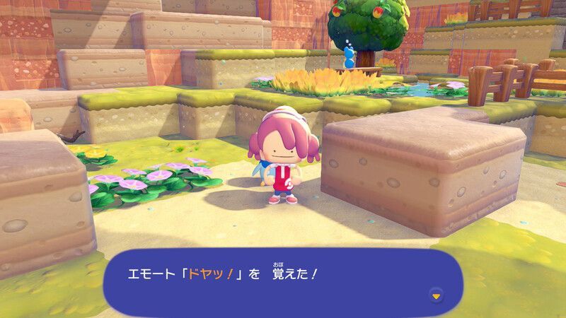 ドヤッ！入手